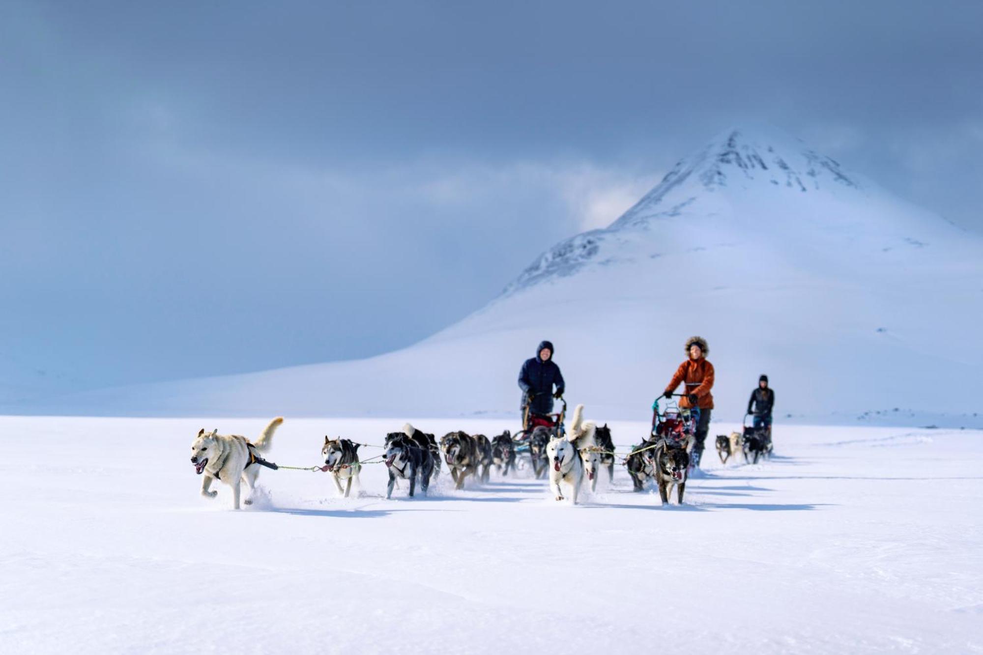Reisa Lodge Storslett المظهر الخارجي الصورة
