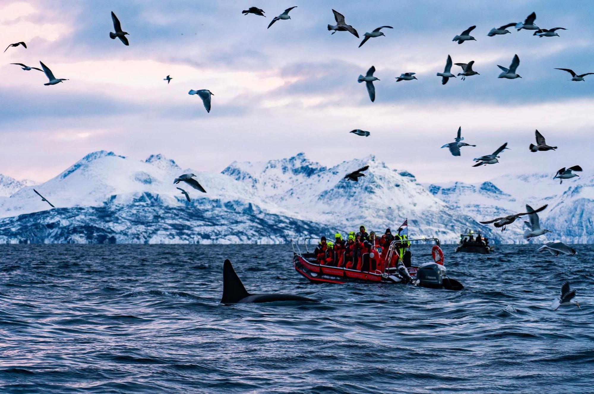 Reisa Lodge Storslett المظهر الخارجي الصورة