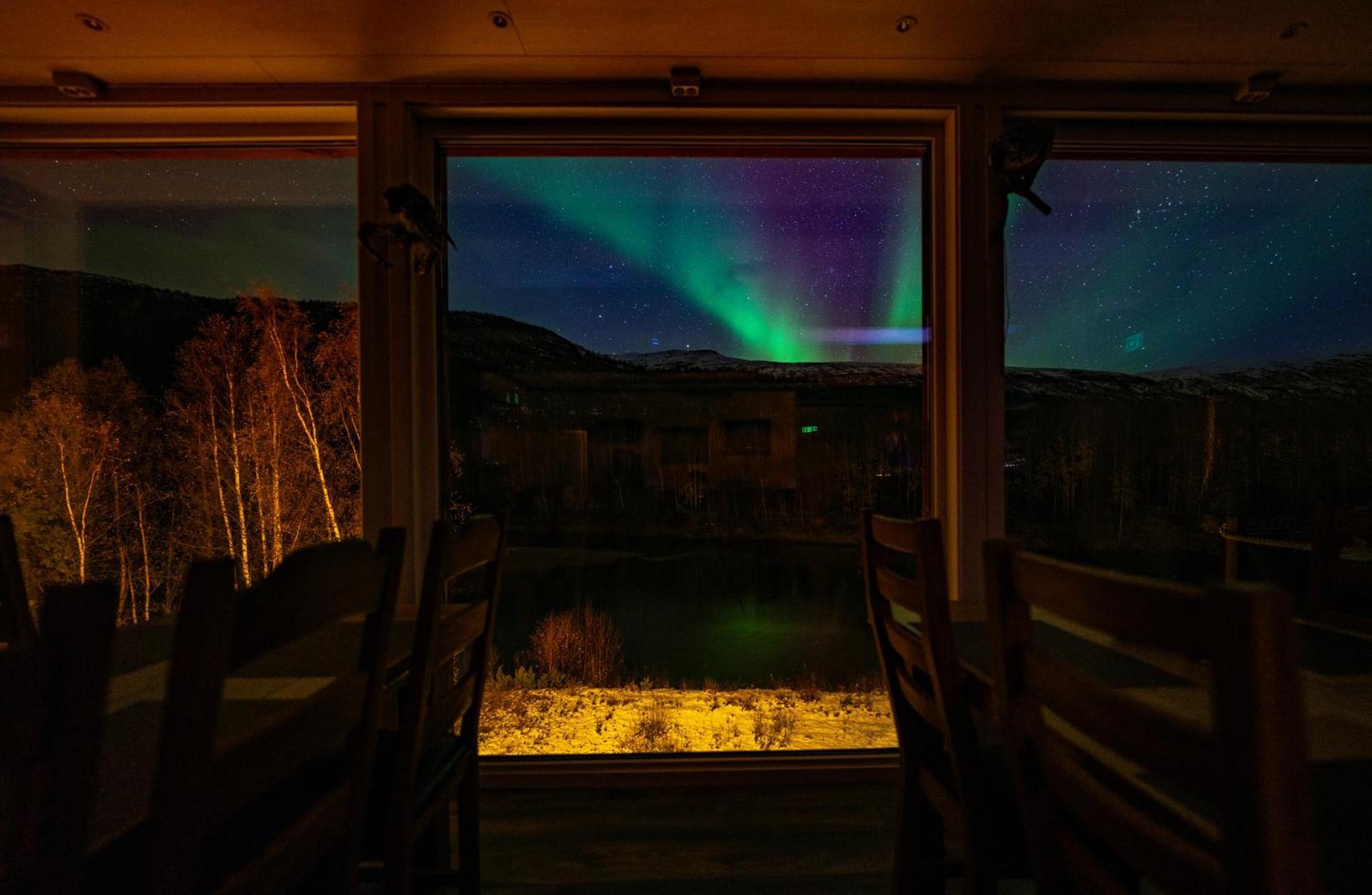 Reisa Lodge Storslett المظهر الخارجي الصورة
